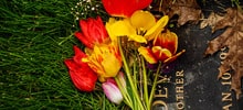 Interment / Committal
